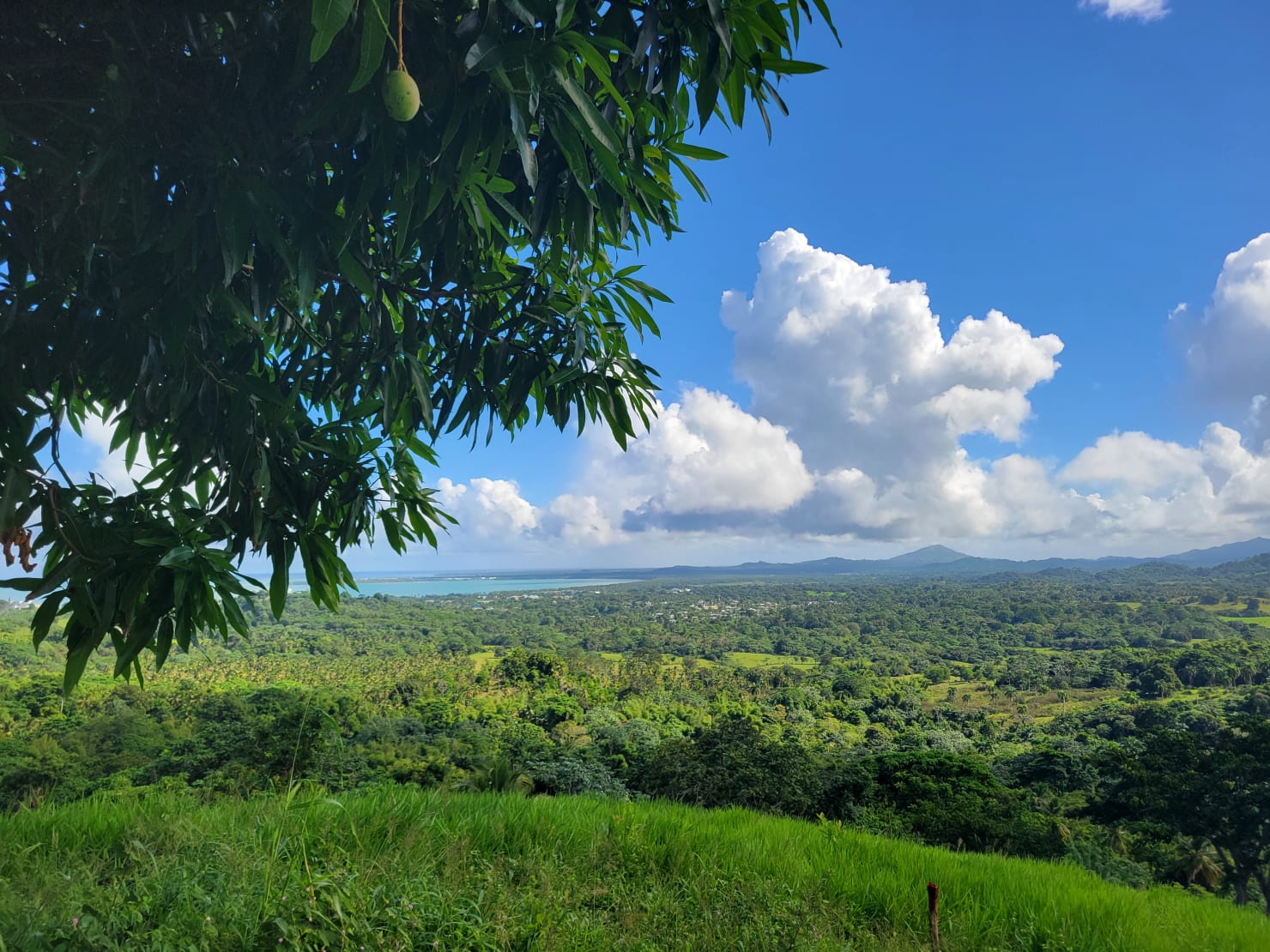 Miches and its coastline seen from the green heights of the Vista Serena domain — real aerial view of the region from above