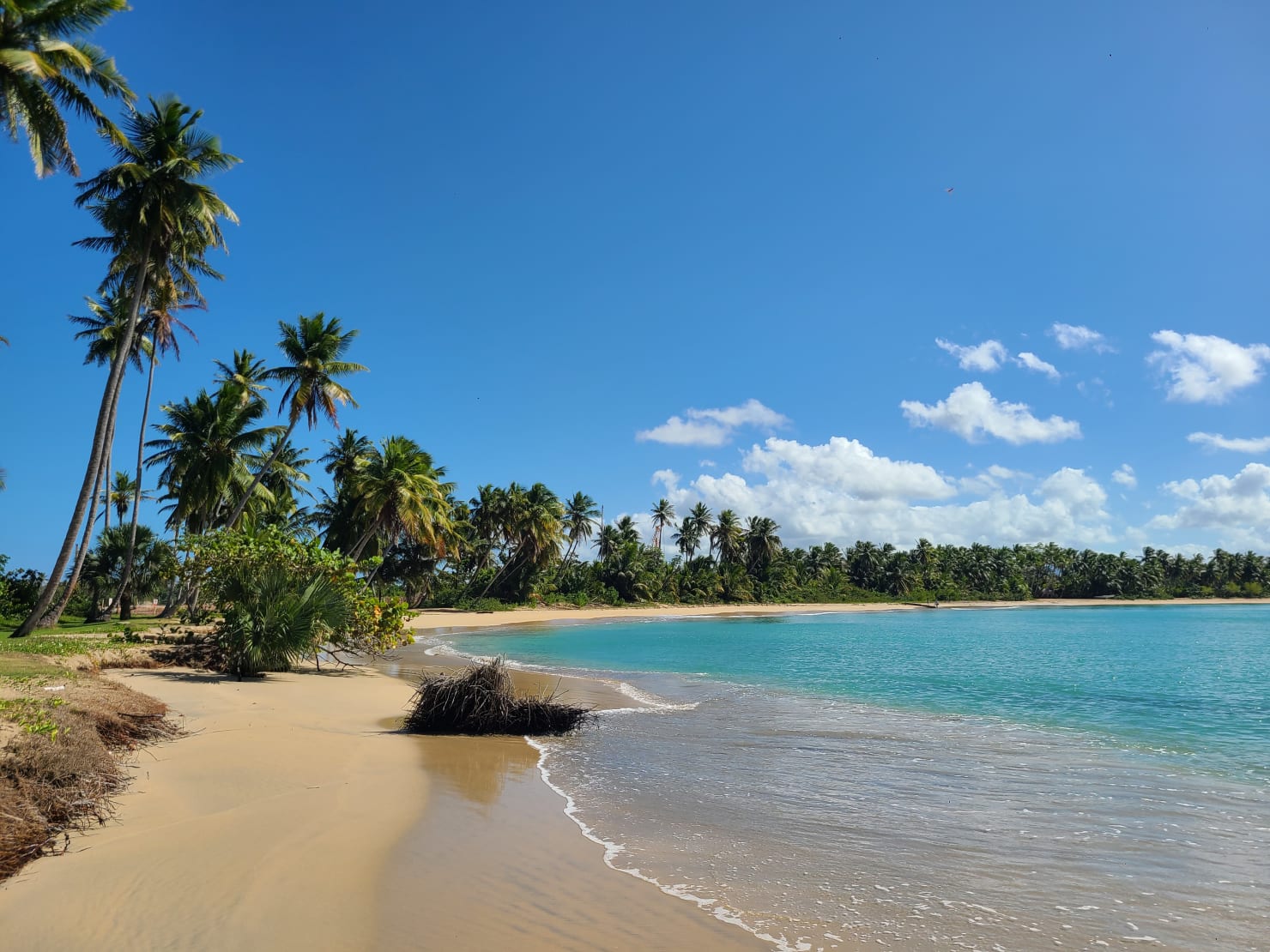 Playa Esmeralda — Miches, République Dominicaine : la nouvelle destination éco-luxe des Caraïbes