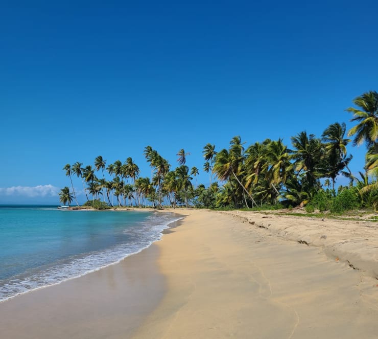 Plage Esmeralda Miches isolée — l'une des plus belles plages de République Dominicaine