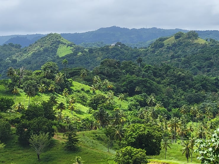 Panoramic view Samaná Bay
