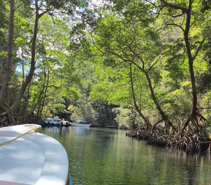 Parque Nacional Los Haitises near Miches - mangroves karst caves UNESCO biodiversity