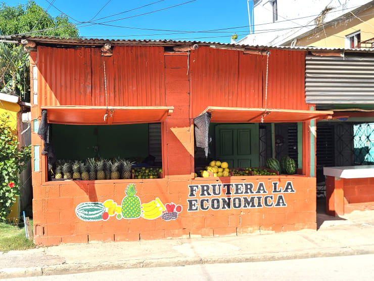 Local Miches flavors - fresh fruits and natural juices from the Dominican countryside