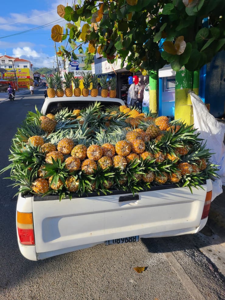 Lever de soleil sur la côte caribéenne de Miches