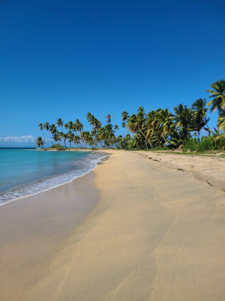 Playa tropical arena blanca y palmeras en Miches