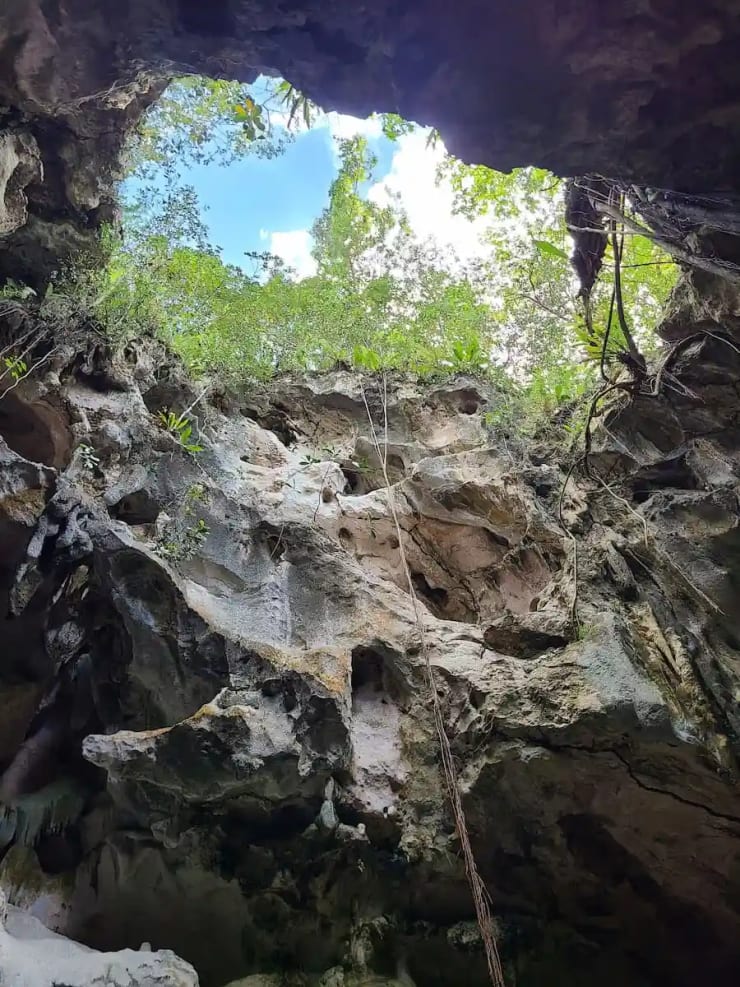 Actividades en el Parque Nacional Los Haitises — kayak y bote entre manglares República Dominicana