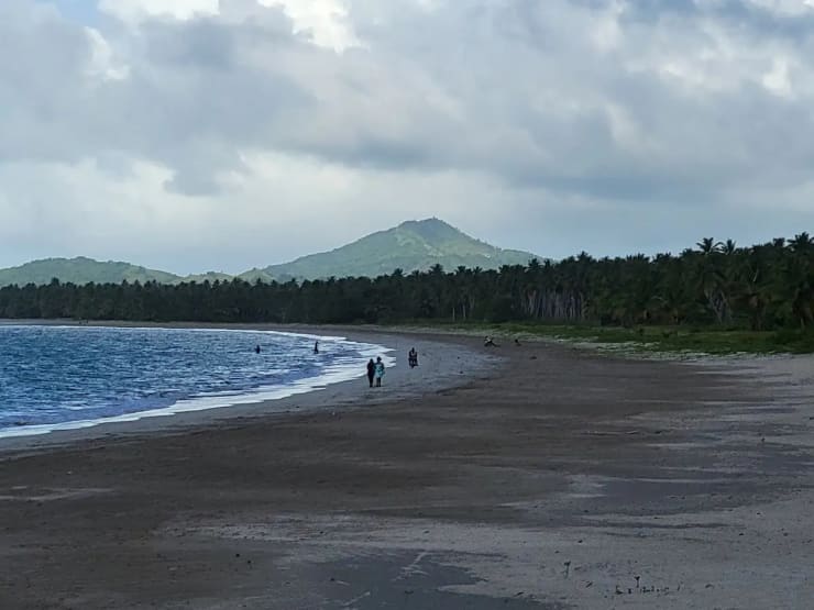 Playa Arriba Miches RD - vegetación tropical exuberante y playa virgen sin desarrollar