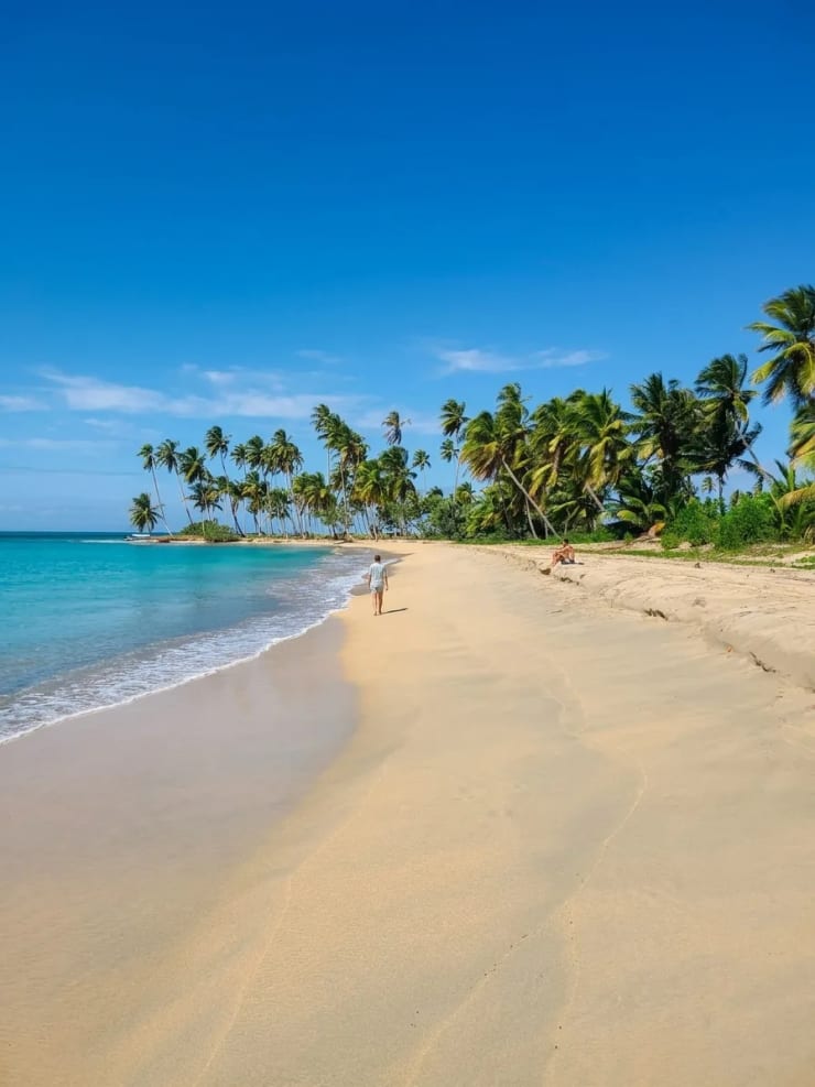 Plage tropicale sable blanc et palmiers à Miches