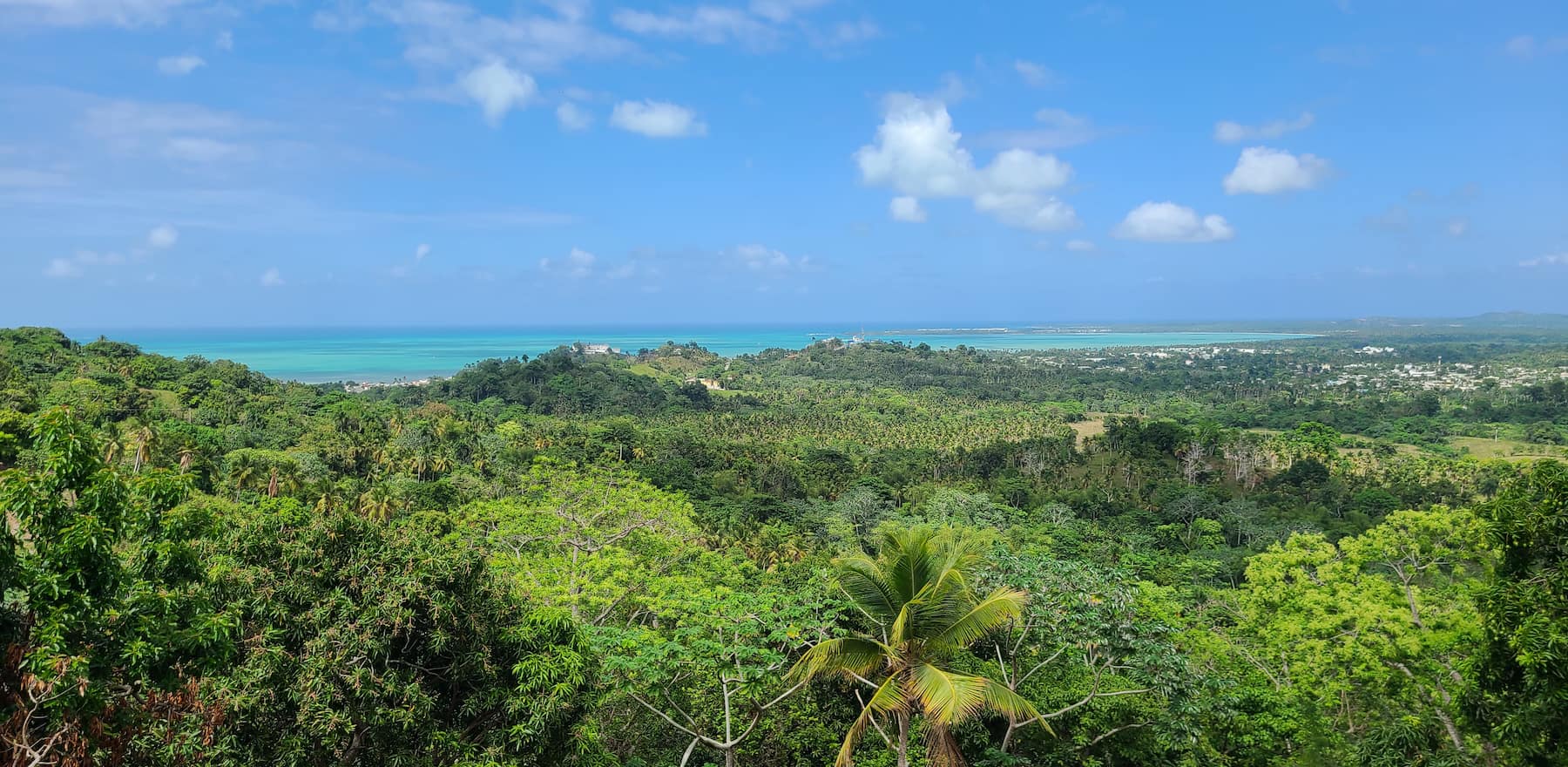 Panoramic ocean view from Talipot Ecolodge Vista Serena Miches