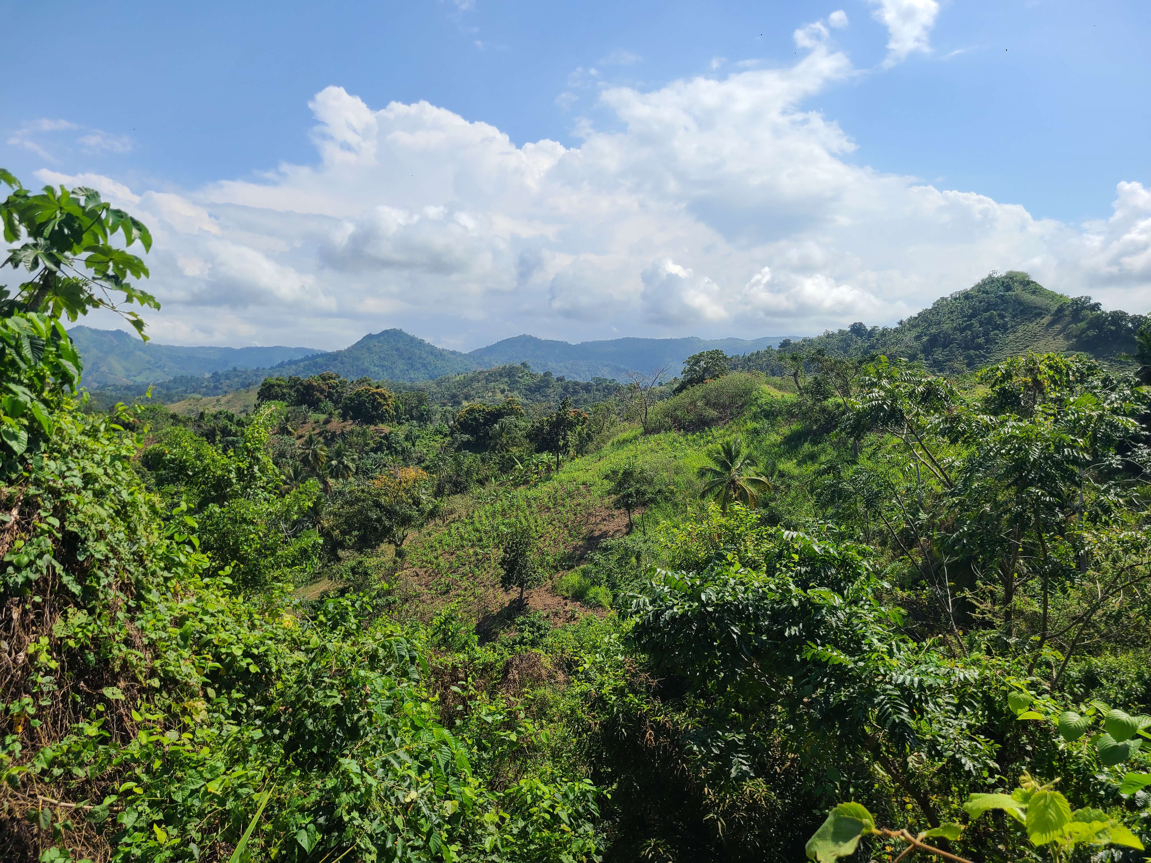 Mountain view from Vista Serena bungalow — Montaña Redonda visible in the distance, Miches DR