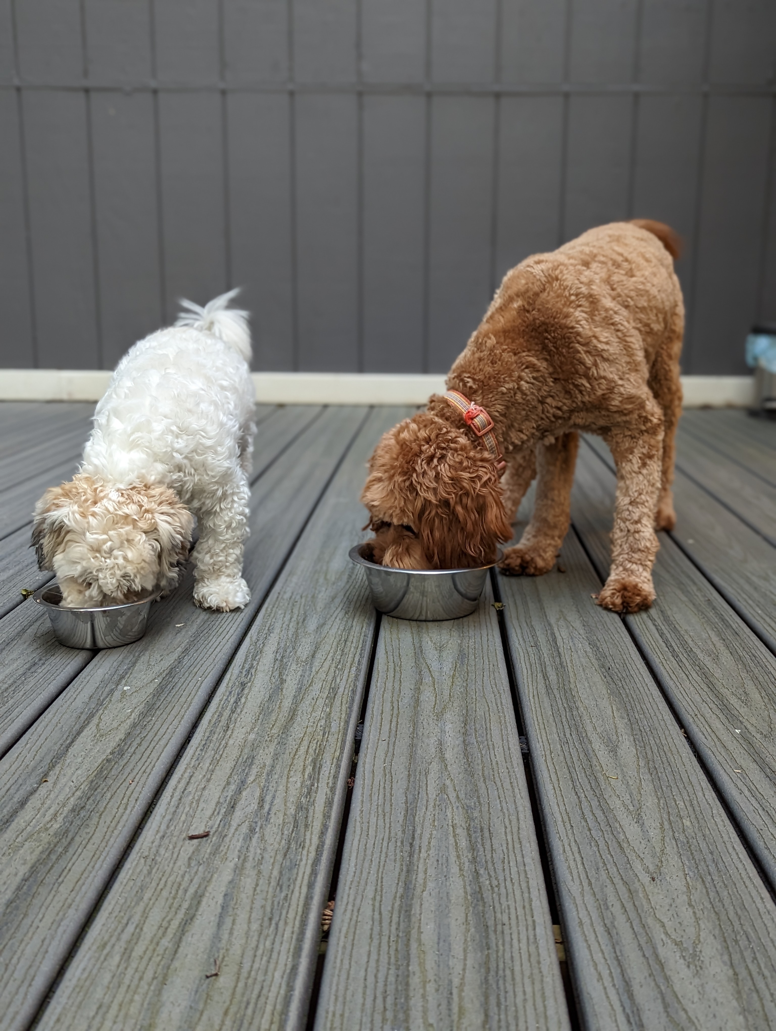 Parallel Chow-llections