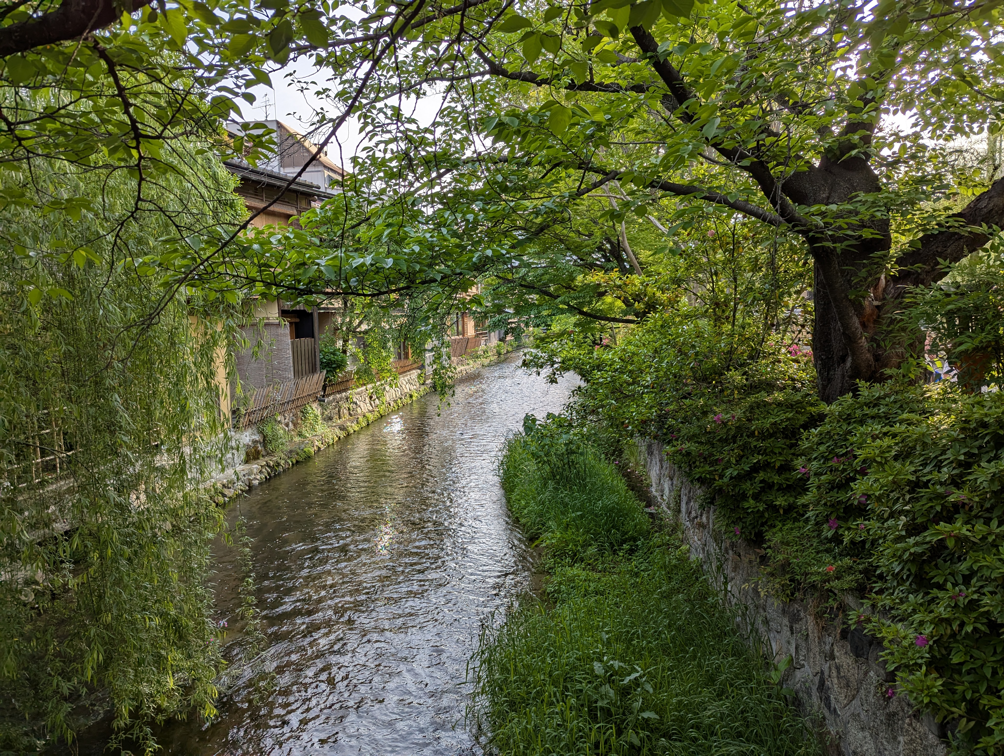 Kyoto streets