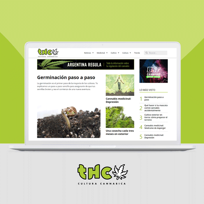 imagen destacada de revista-thc.gif