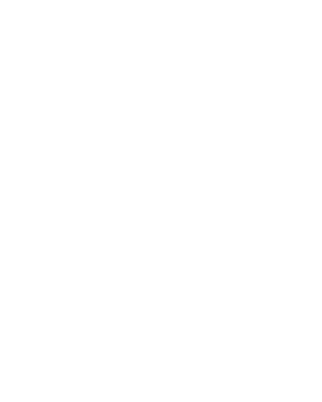 Cristopher Araya