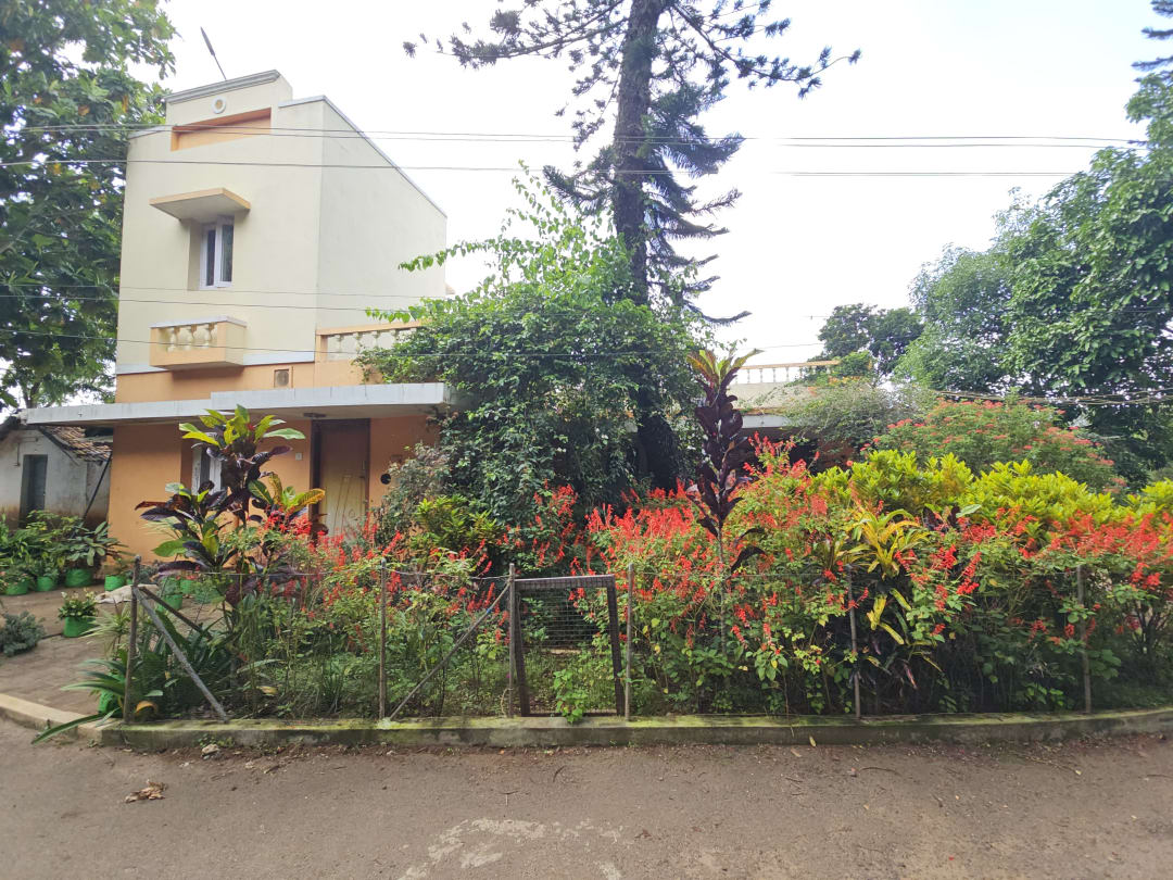 CRANE BOURNE ORANGE BUNGALOW