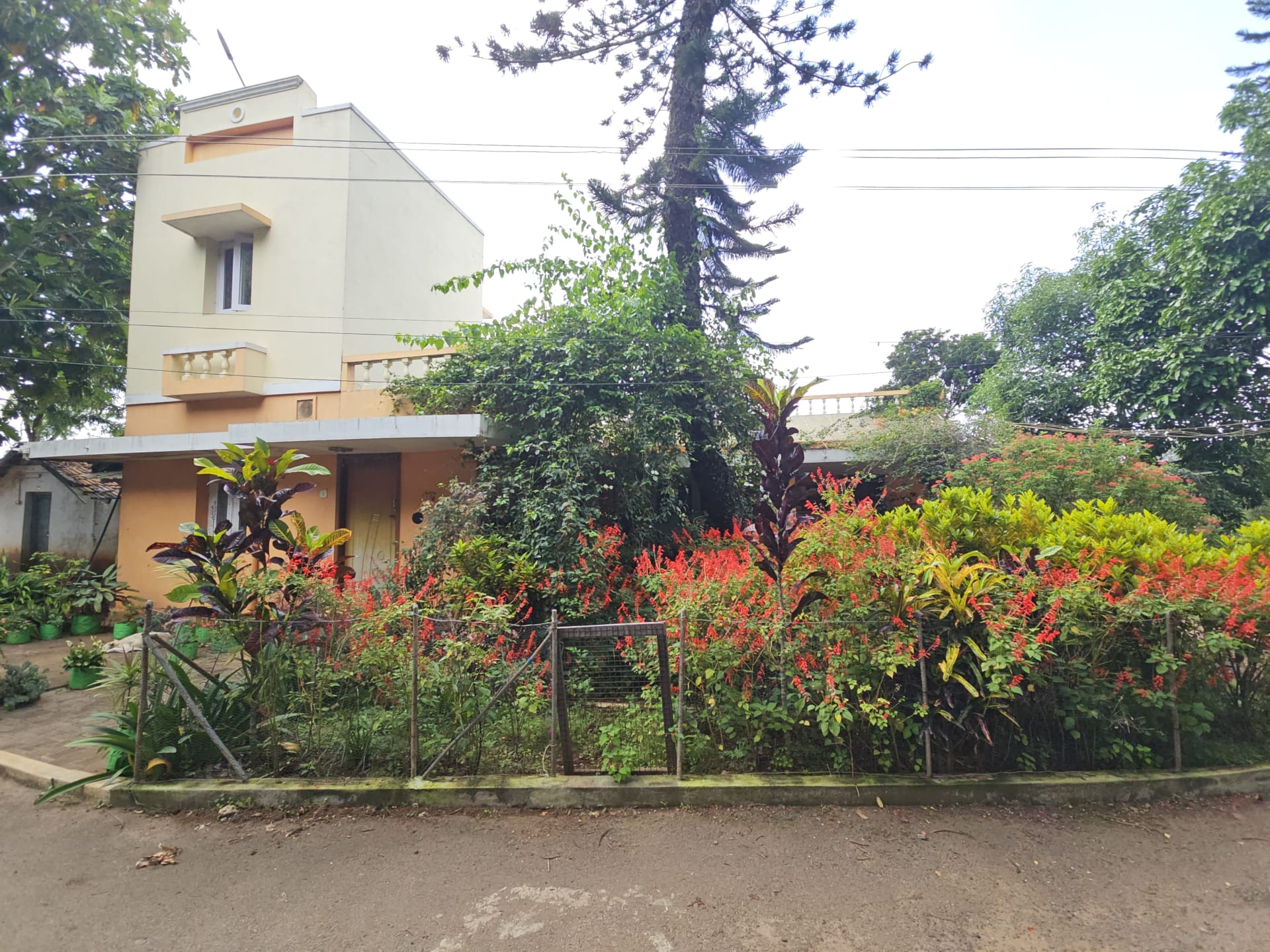 CRANE BOURNE ORANGE BUNGALOW