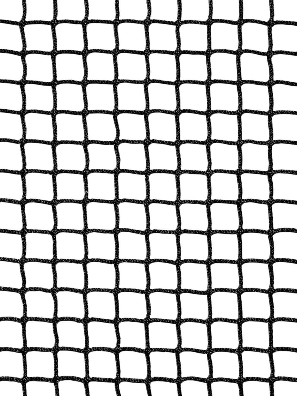 Safety Net