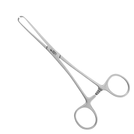 Allis Tissue Forceps (16 cm) – Farm Lives Sri Lanka