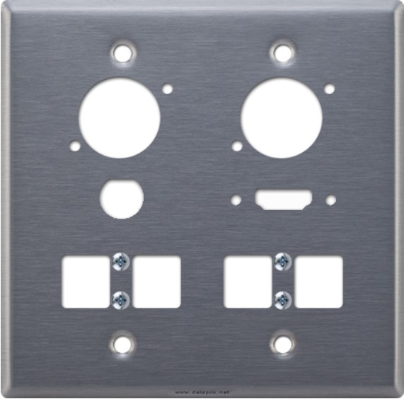 Two Gang Plate, Stainless, with eight cuts