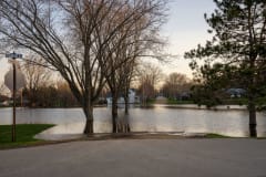 A serene image of a flooded street with bare trees in Wabasha, MN, reflecting calm waters.