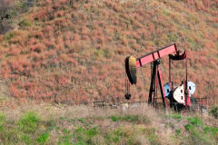 Industrial oil pumpjack in a rural field with colorful vegetation.