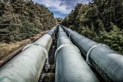 View of large industrial pipelines running through a lush forest landscape.