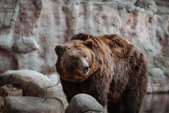 Bitcoin Drops Toward $57.5K, Extends Weekly Loss to 10% at Start of Seasonally Bearish September