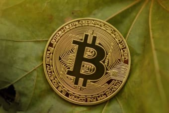 Crypto Regulations in 2024: What You Need to Know