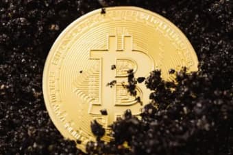 SBI Crypto to Shut Bitcoin Mining Pool on July 31