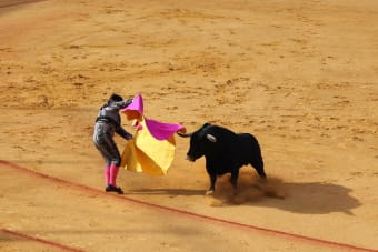 Crypto Markets News | Bitcoin Surges Past $115K, ETH Rallies Ahead of Fed Rate Cut