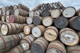 Rows of oak barrels at a Scottish distillery, ideal for whiskey production imagery.