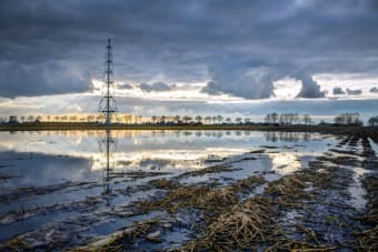 Natural Gas Price Forecast: What to Expect in the Coming Weeks