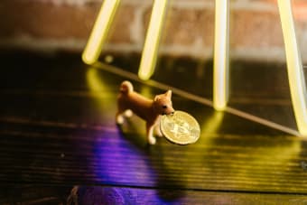 Shiba Inu Burn Rate Explodes 112,000 Percent—but SHIB Price Struggles Near $0.000012