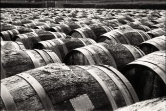 Rows of wooden barrels in an outdoor wine storage yard captured in black and white.