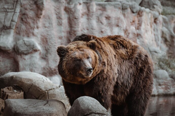 Bitcoin Drops Toward $57.5K, Extends Weekly Loss to 10% at Start of Seasonally Bearish September