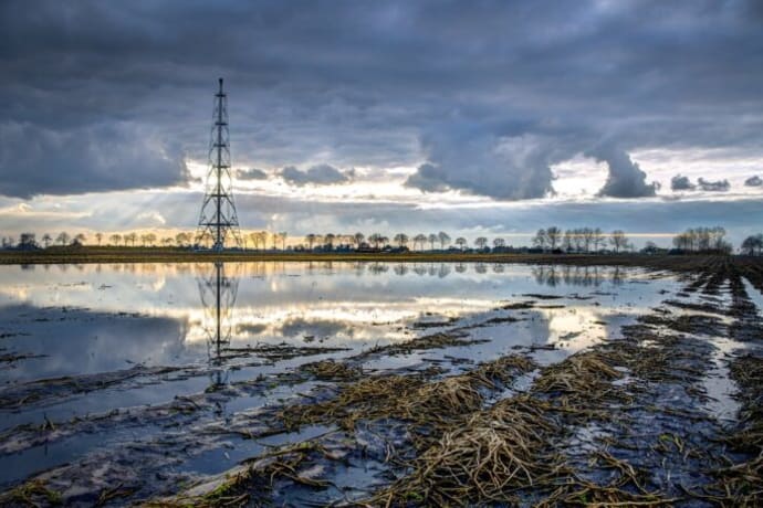 Natural Gas Price Forecast: What to Expect in the Coming Weeks