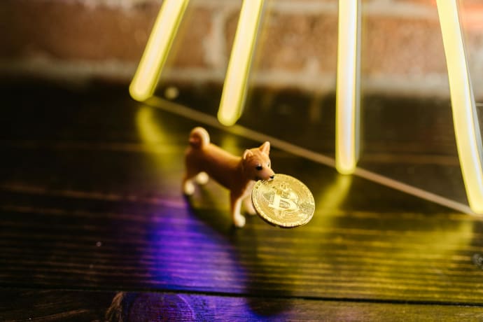 Shiba Inu Burn Rate Explodes 112,000 Percent—but SHIB Price Struggles Near $0.000012