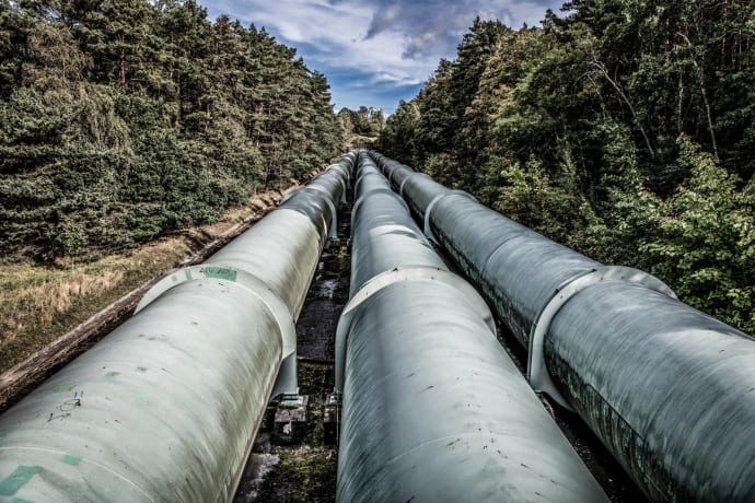 View of large industrial pipelines running through a lush forest landscape.