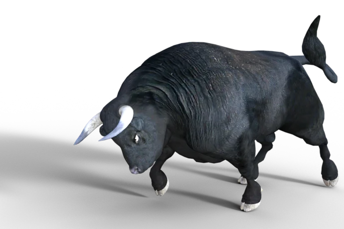 bull, beef, 3d-5056041.jpg