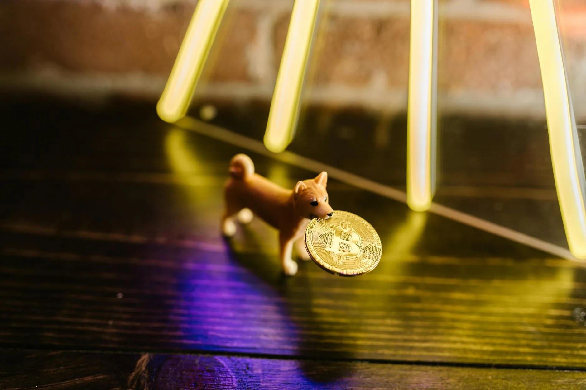 Plastic toy dog holding a gold bitcoin coin under vibrant neon lights on a wooden surface.