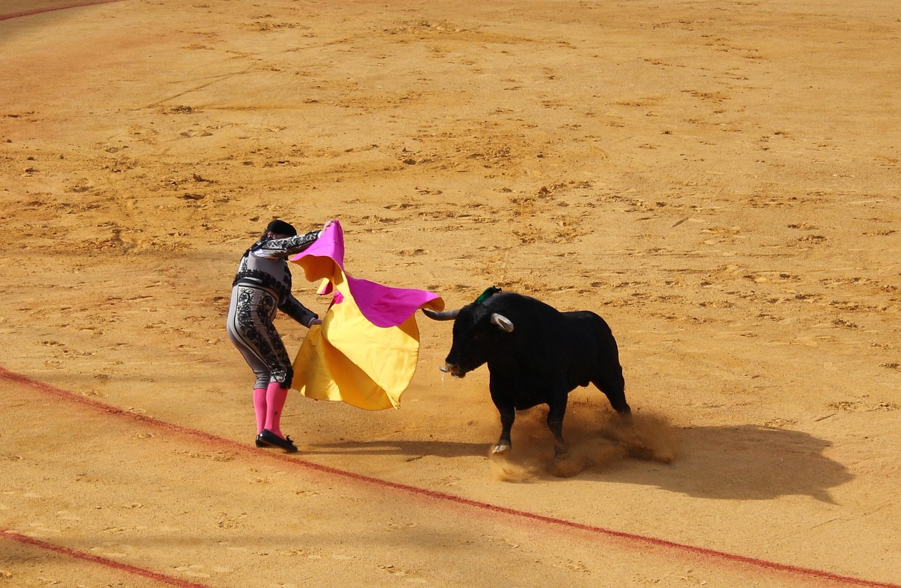 seville, bull fighting, bull, seville, seville, bull fighting, bull fighting, bull fighting, bull fighting, bull fighting, bull, bull