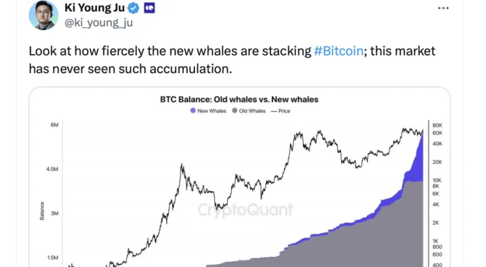 CryptoQuant founder Ki Young-Ju on X regarding Bitcoin whales