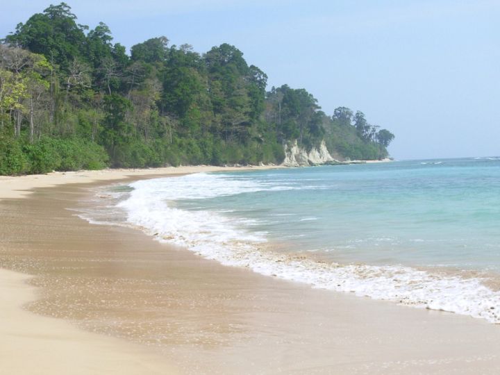 glass-bottom-boat-andaman-islands