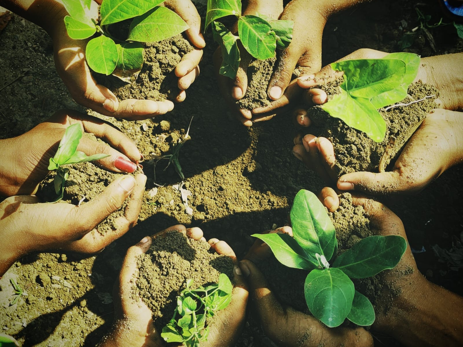 Greening Neighborhoods & Promoting Upcycling