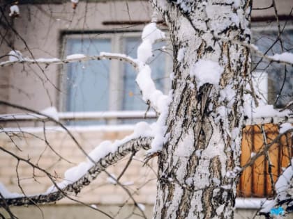 Южноуральцам пообещали непогоду