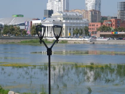 Челябинцы проголосуют за лучшие объекты благоустройства в 2024 году