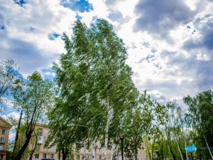 Какой будет погода в Магнитогорске