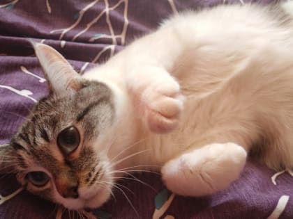 Южноуральцам рассказали, как себе помочь, если не хватает времени на отдых