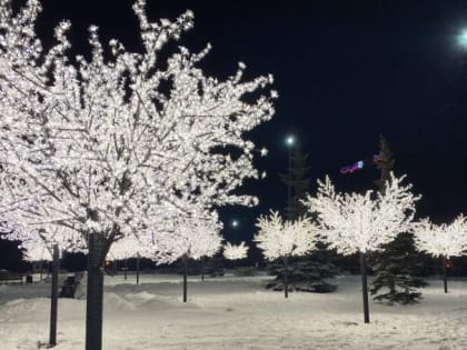 Улицы Магнитогорска украсят более ста светящихся деревьев