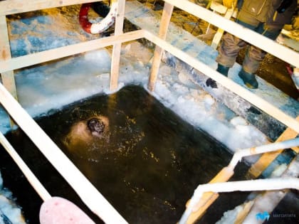 Ждут ли магнитогорцев крещенские морозы? Прогноз погоды