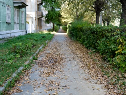 Пятница в Озёрске, или Листва атакует